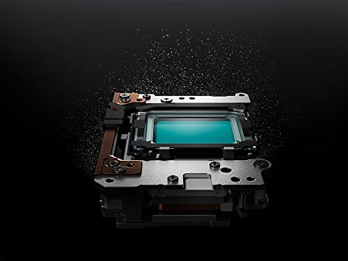 Amazon | OM SYSTEM オリンパス OM-D E-M5 Mark III ブラックボディ M